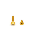 Rockshox Fork Titanium Bolt Kit