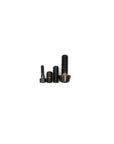 SRAM Road AXS Derailleur Titanium Bolt Kit