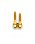 Brake Caliper Mounting Bolts - Mountain - Titanium