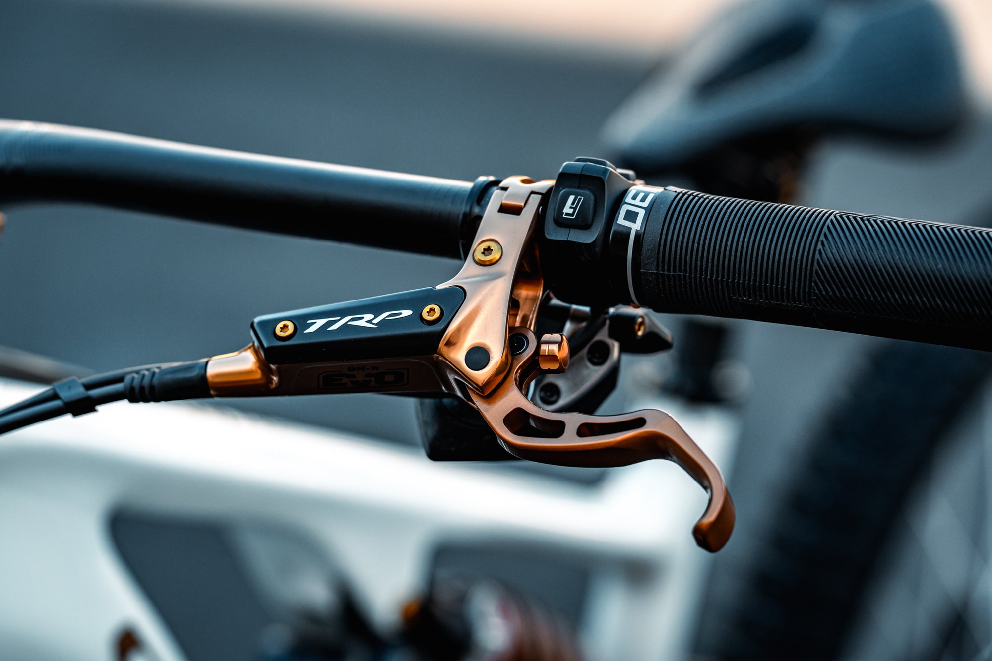 TRP Brake Lever Bleed Port Set - Titanium