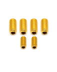 Enve Frame Grub Screws MOG/MELEE/FRAY - Titanium