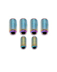Enve Frame Grub Screws MOG/MELEE/FRAY - Titanium