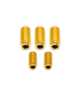 Enve Frame Grub Screws MOG/MELEE/FRAY - Titanium
