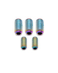 Enve Frame Grub Screws MOG/MELEE/FRAY - Titanium