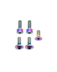 Fork Fork Titanium Bolt Kit