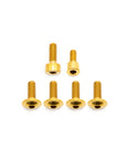 Fork Fork Titanium Bolt Kit