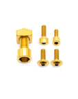 Fork Fork Titanium Bolt Kit