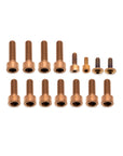 Fork Fork Titanium Bolt Kit