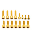 Fork Fork Titanium Bolt Kit