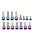 Fork Fork Titanium Bolt Kit