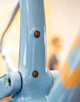 Frame Boss Plug M5 - Titanium