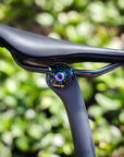 Specialized Seat Post Bolt and Washer - Titanium