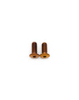Specialized Bandit and SWAT Compatible Seat Mount Bolts