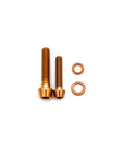 Specialized Alpinist Seat Post Saddle Clamp Bolt Kit - Titanium