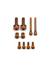 TRP EVO PRO Brake Bolt Kit