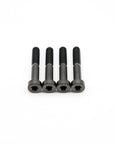 SRAM Mountain Caliper Body Bolts - Titanium
