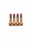 SRAM Mountain Caliper Body Bolts - Titanium