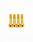 SRAM Mountain Caliper Body Bolts - Titanium