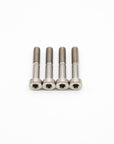 SRAM Mountain Caliper Body Bolts - Titanium