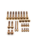 SRAM Maven Brakes Bolt Kit - Titanium