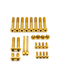 SRAM Maven Brakes Bolt Kit - Titanium