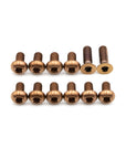 Specialized Titanium Speed Sensor Bolt Kit