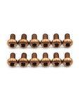 Rotor Bolt Kits - Titanium