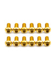 Rotor Bolt Kits - Titanium