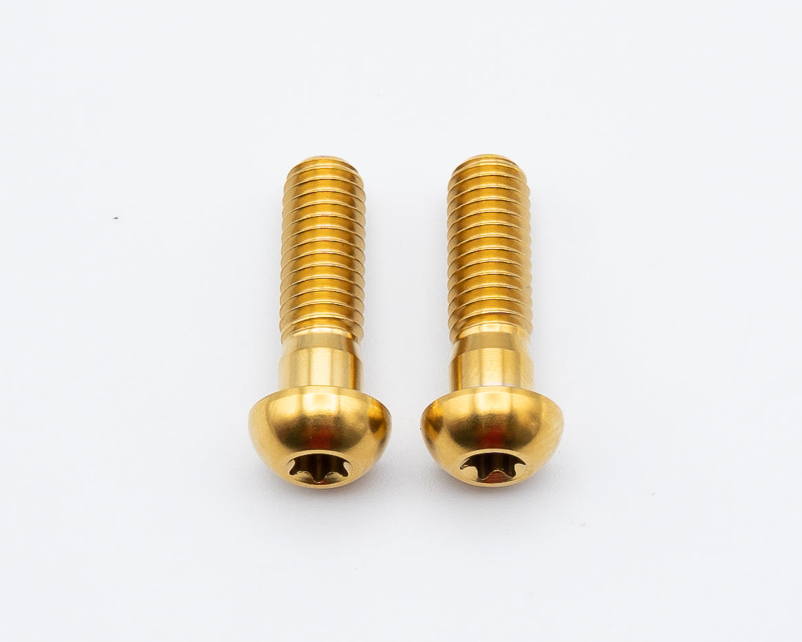 SRAM Mountain Caliper Body Bolts - Titanium