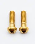 SRAM Mountain Caliper Body Bolts - Titanium