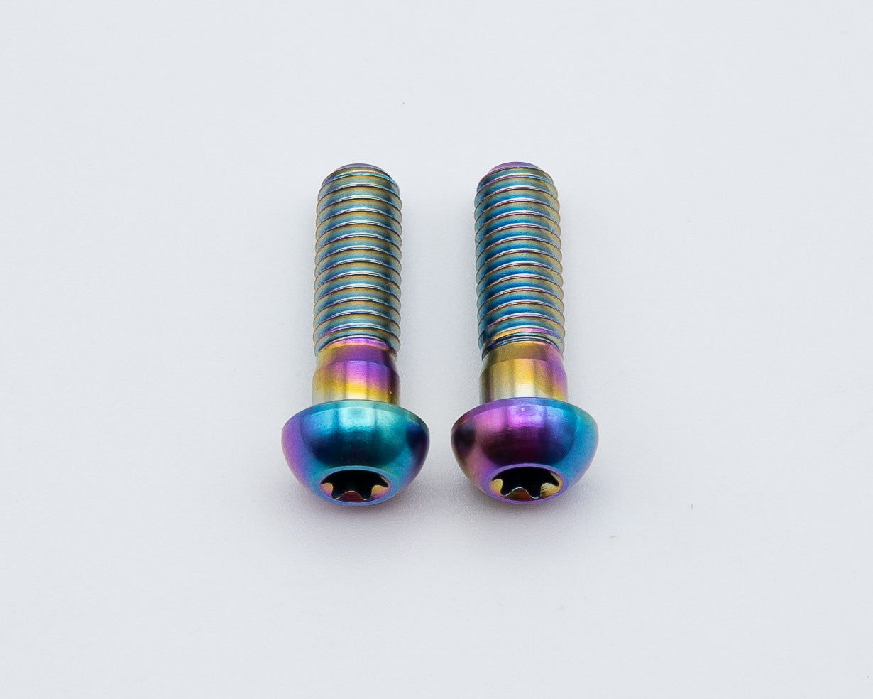 SRAM Mountain Caliper Body Bolts - Titanium