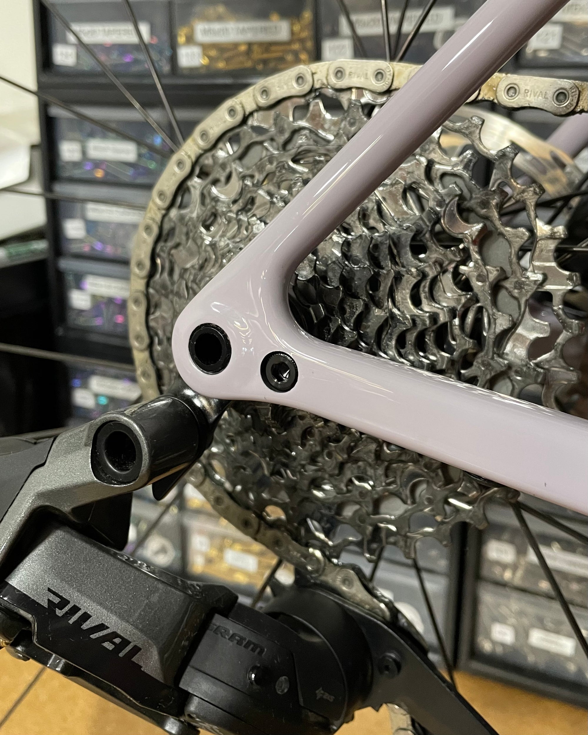 Specialized Road/Gravel Derailleur Hangar Bolt - Titanium