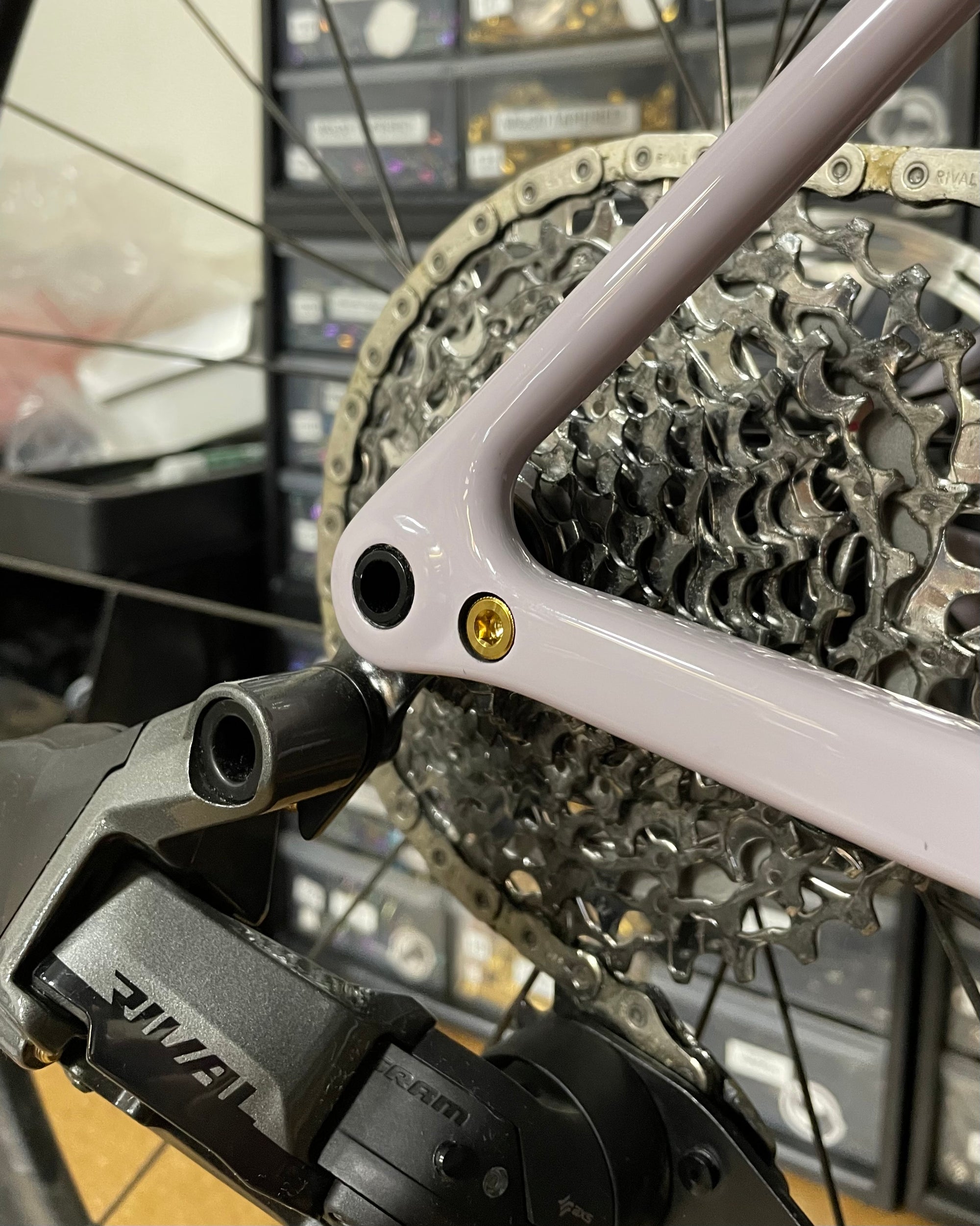 Specialized Road/Gravel Derailleur Hangar Bolt - Titanium