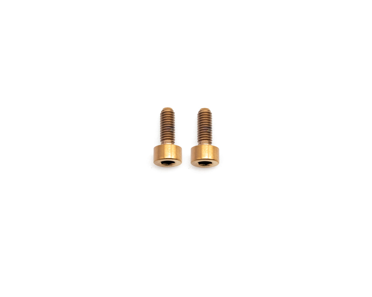 Avinox TCU Display Bolt Kit - Titanium