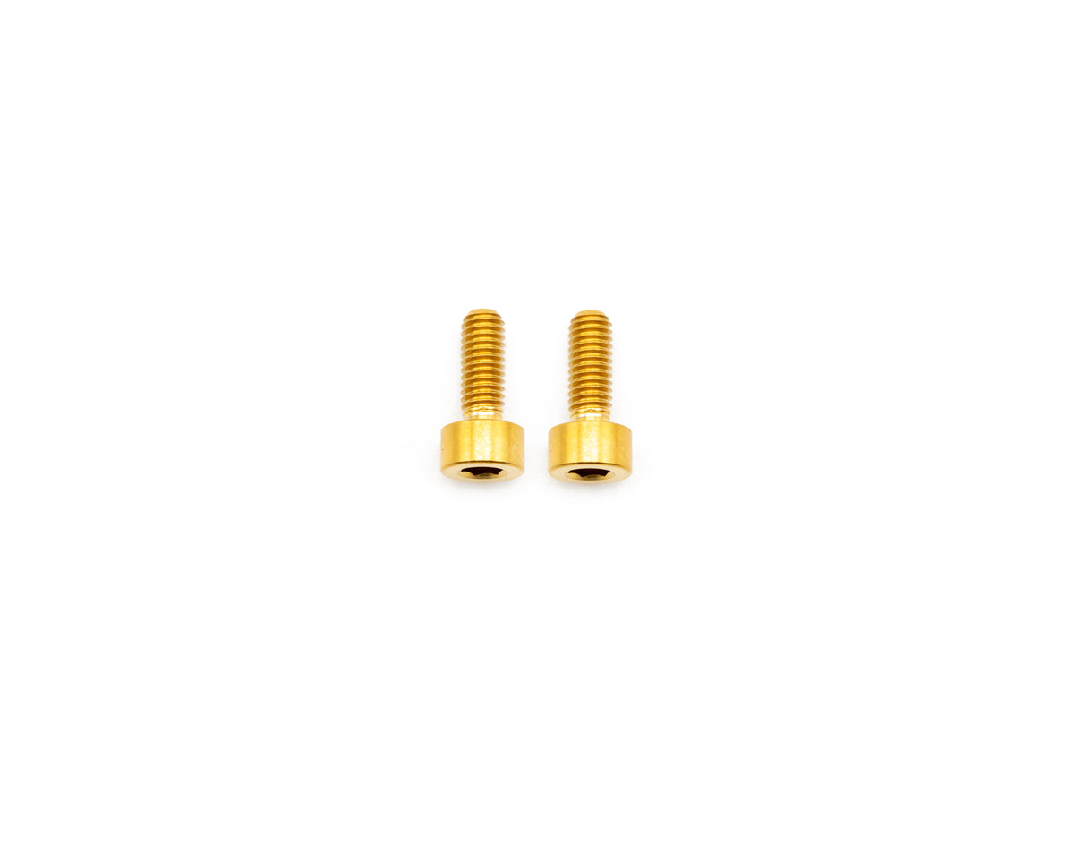 Avinox TCU Display Bolt Kit - Titanium