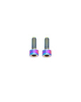 Avinox TCU Display Bolt Kit - Titanium