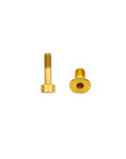 Rockshox Fork Titanium Bolt Kit