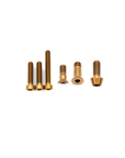 SRAM Mountain Rear Derailleur Titanium Bolt Kit