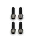 Brake Caliper Mounting Bolts - Mountain - Titanium