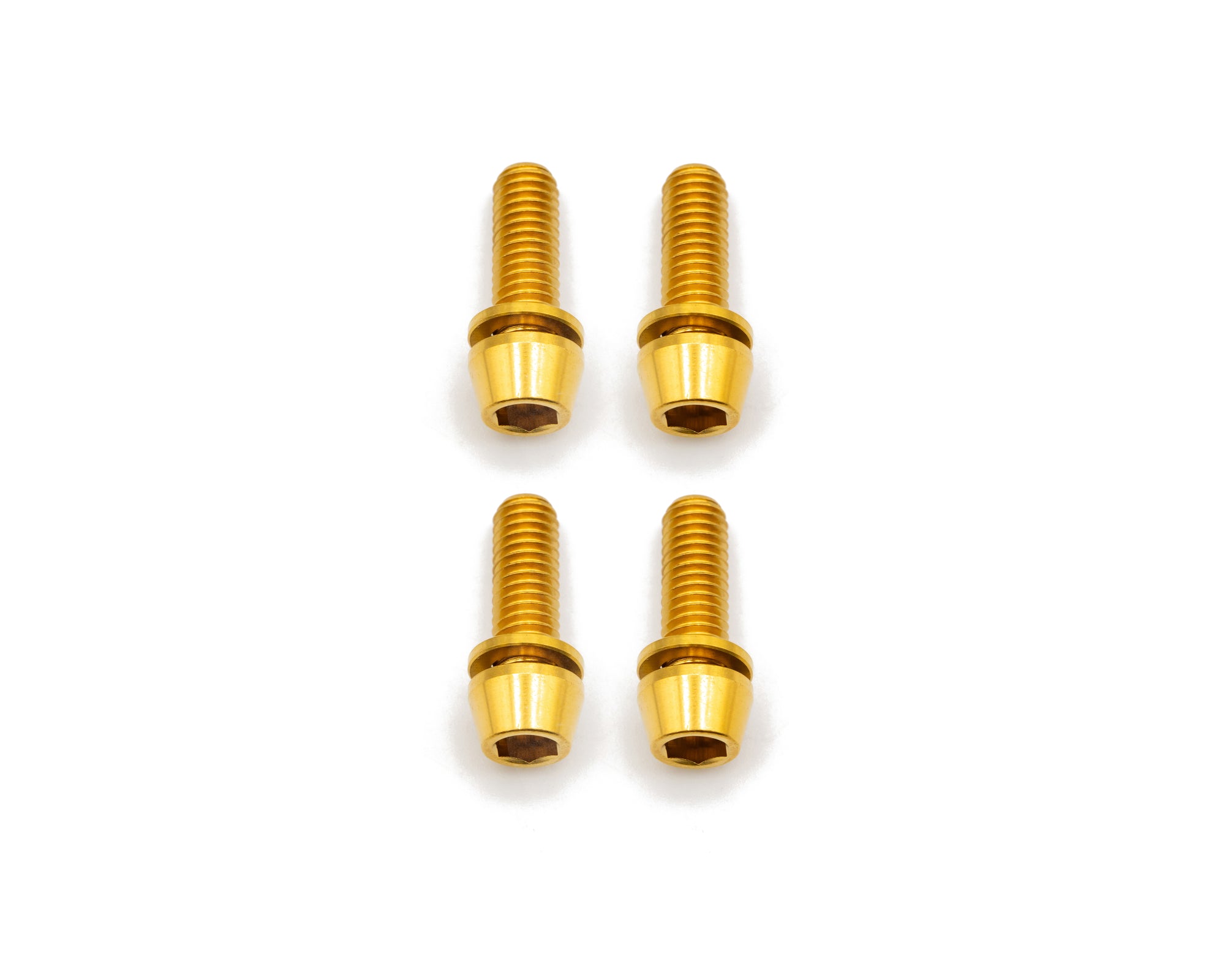 Brake Caliper Mounting Bolts - Mountain - Titanium