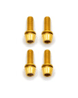 Brake Caliper Mounting Bolts - Mountain - Titanium
