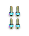 Brake Caliper Mounting Bolts - Mountain - Titanium
