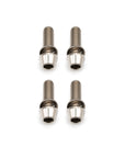 Brake Caliper Mounting Bolts - Mountain - Titanium