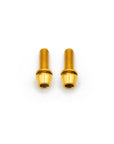 Brake Caliper Mounting Bolts - Mountain - Titanium
