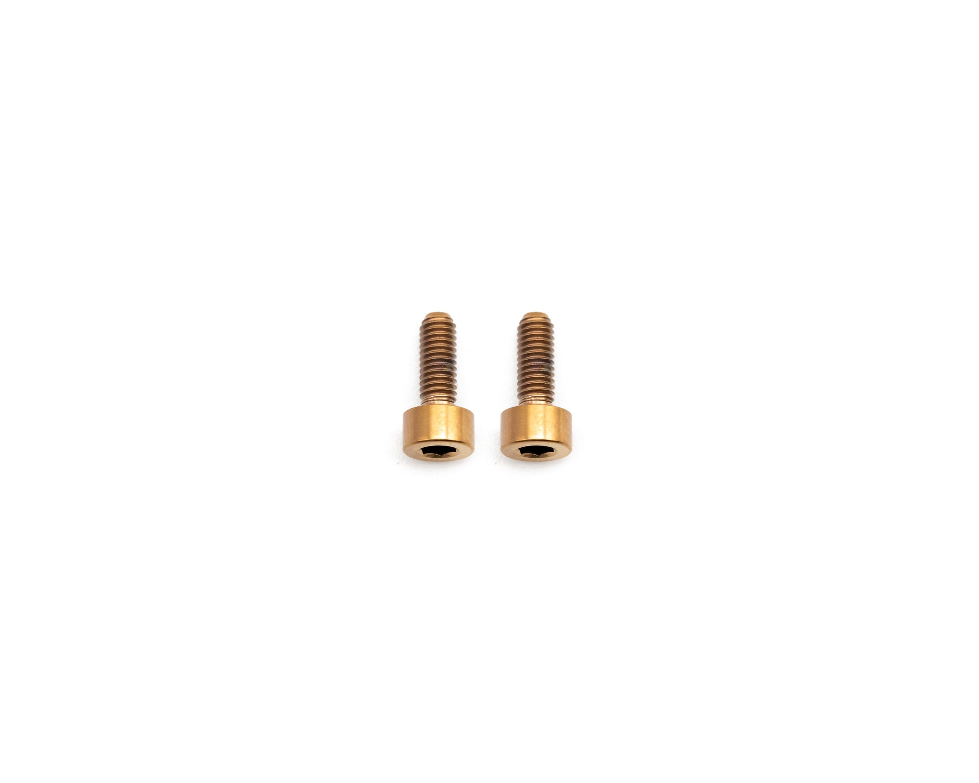 Fork Fork Titanium Bolt Kit