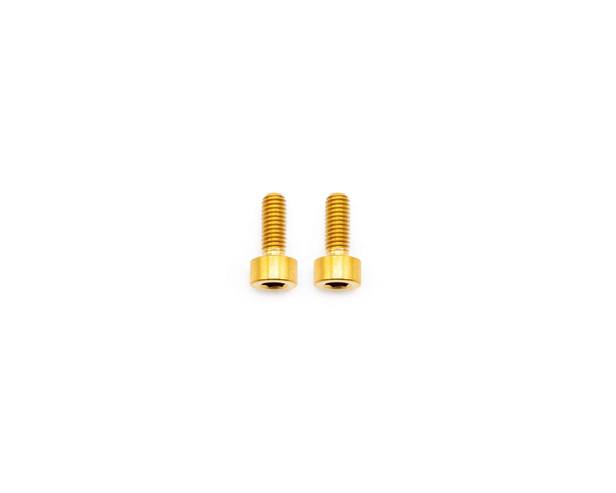 Fork Fork Titanium Bolt Kit
