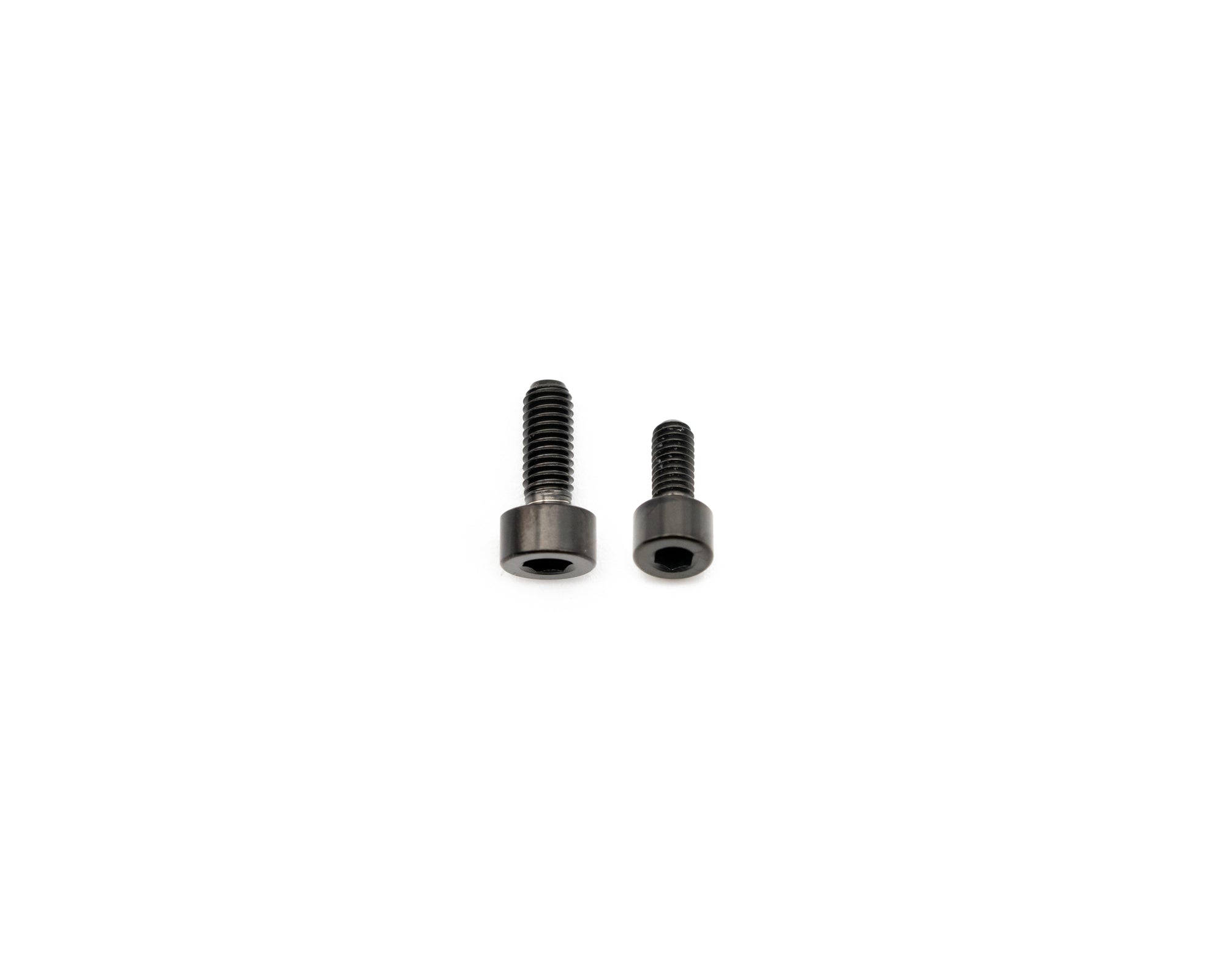 Fork Fork Titanium Bolt Kit