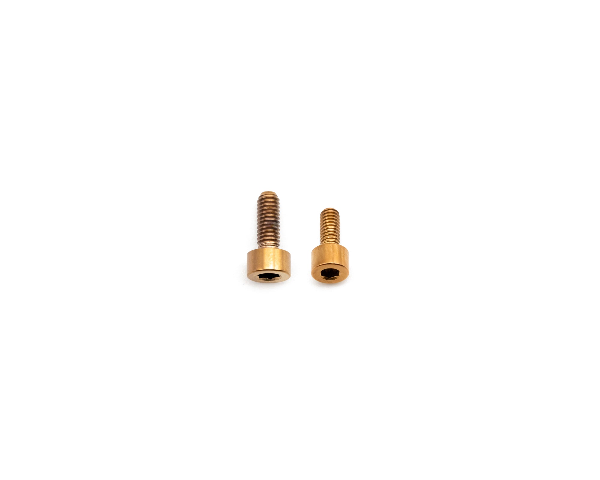 Fork Fork Titanium Bolt Kit