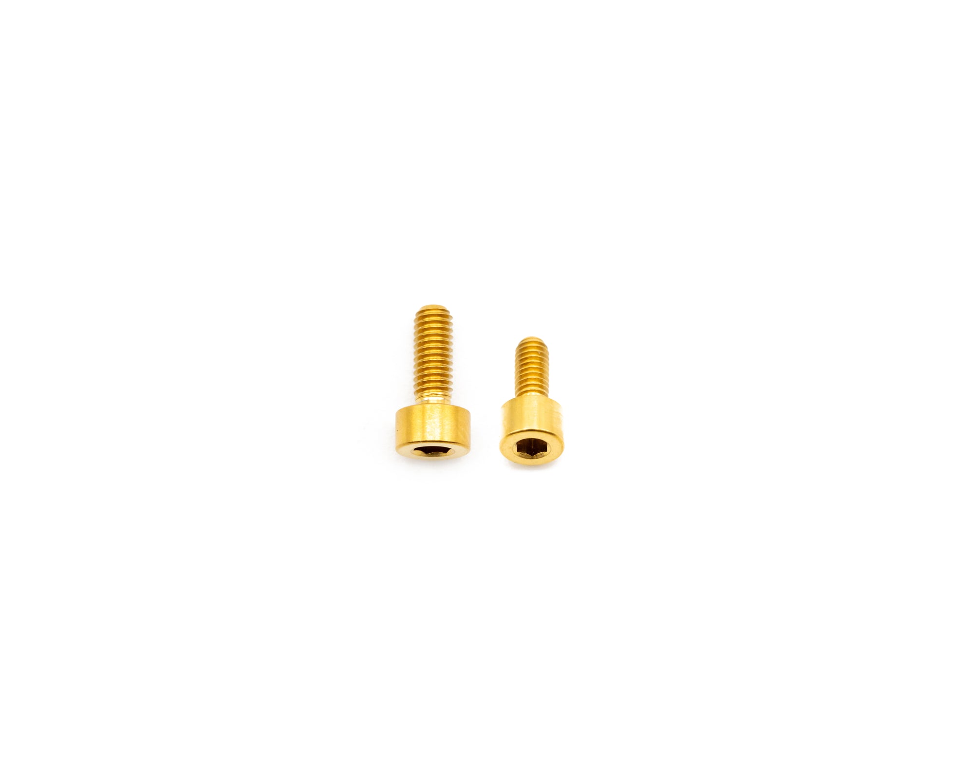 Fork Fork Titanium Bolt Kit