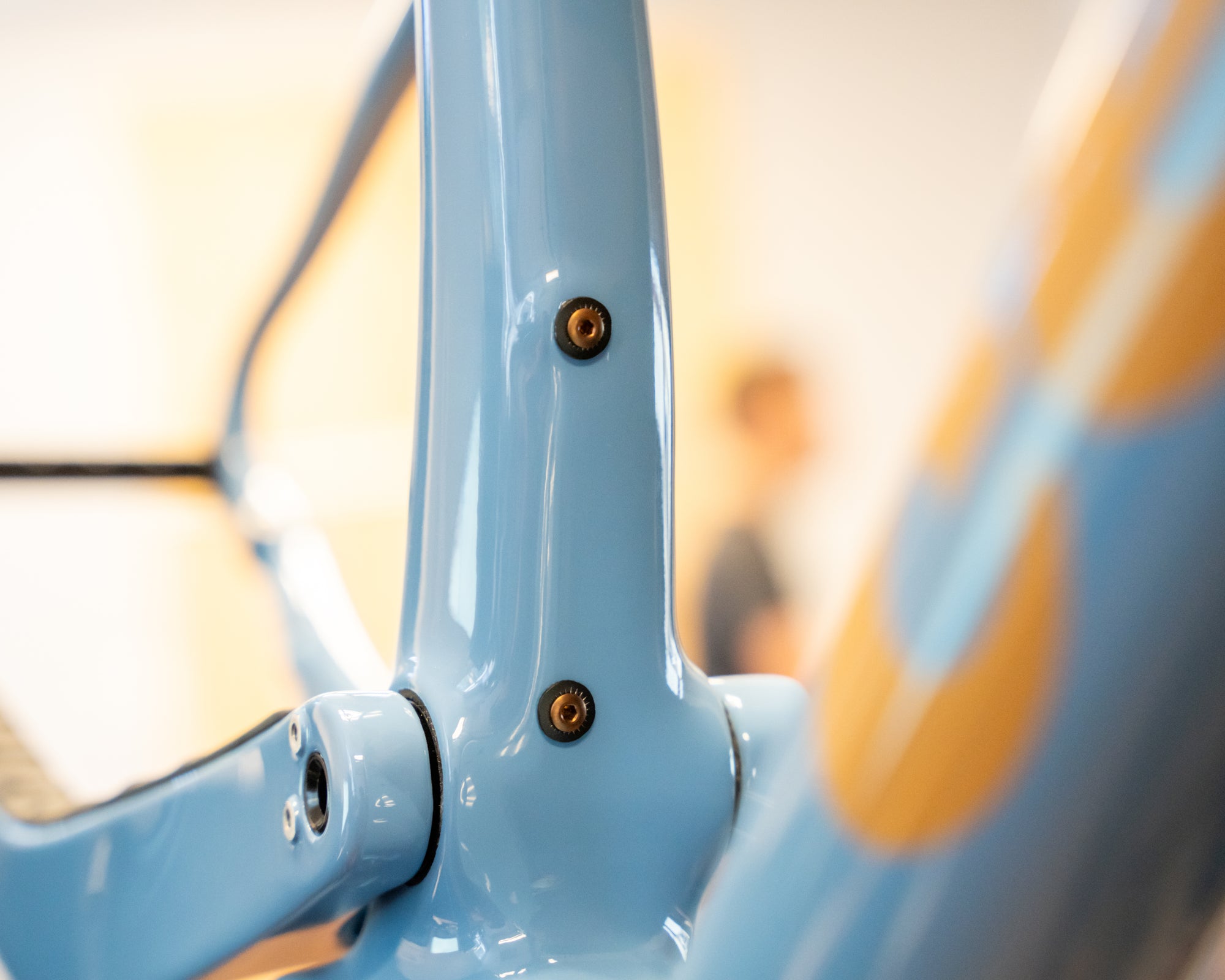 Frame Boss Plug M5 - Titanium
